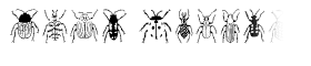 Stan's Polus's Beetles Regular